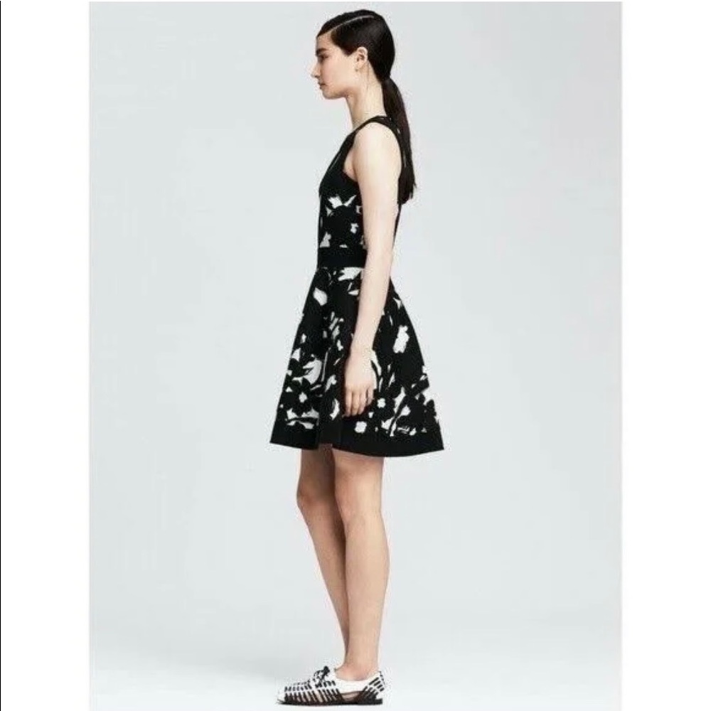 Banana Republic Dress